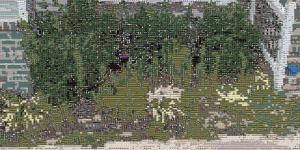 A mosaic of an overgrown flower bed.