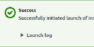 Successful AWS VM launch.